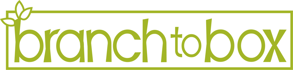 Branch to Box logo