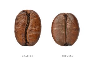 Coffee Beans | Office Coffee | Bean Facts