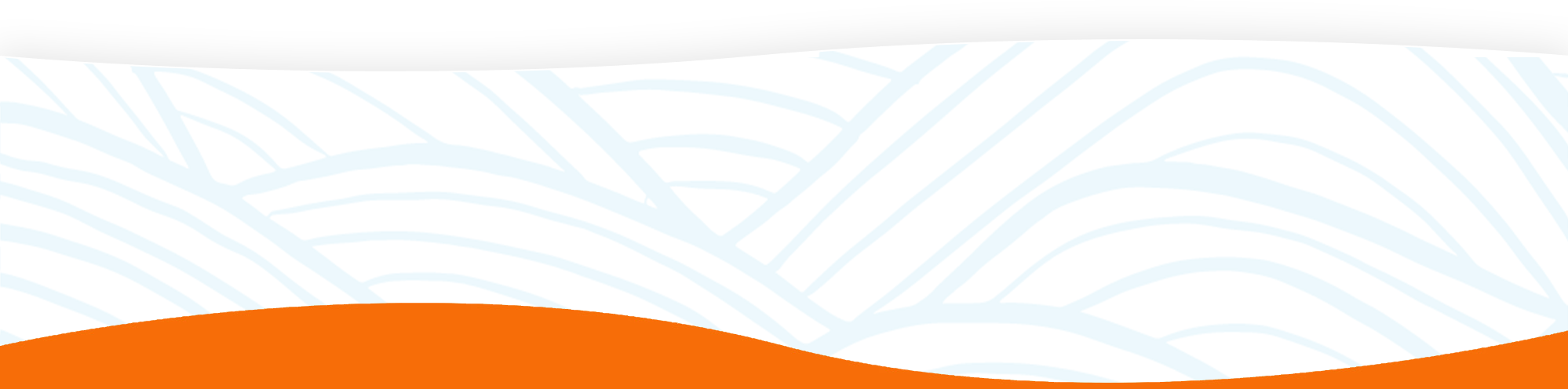 wf-overviewbottom-bg