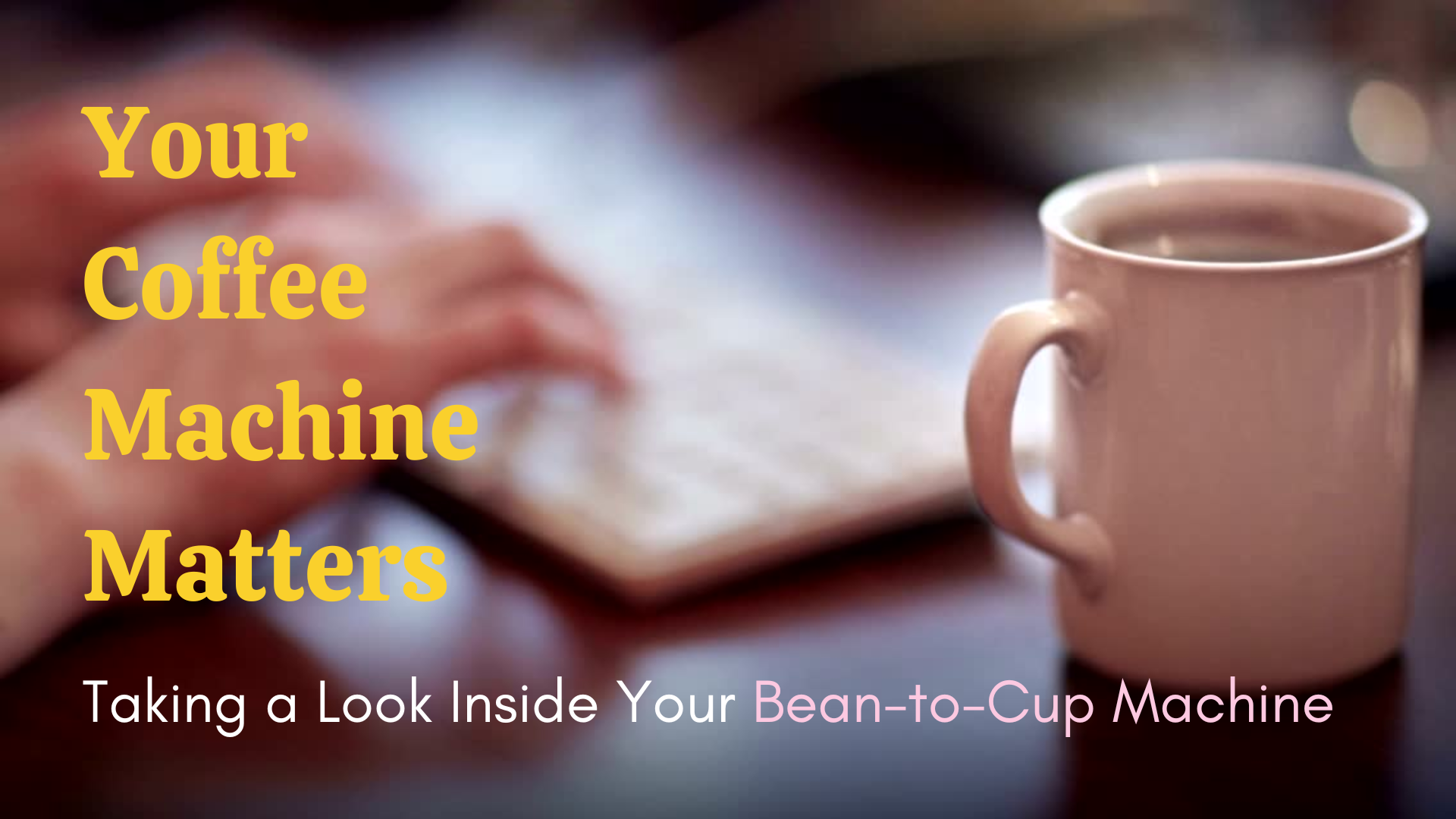 Your Coffee Machine Matters Taking a Look Inside Your Bean-to-Cup Machine